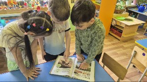 �����������