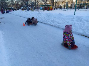 �����������