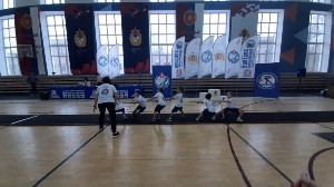 �����������